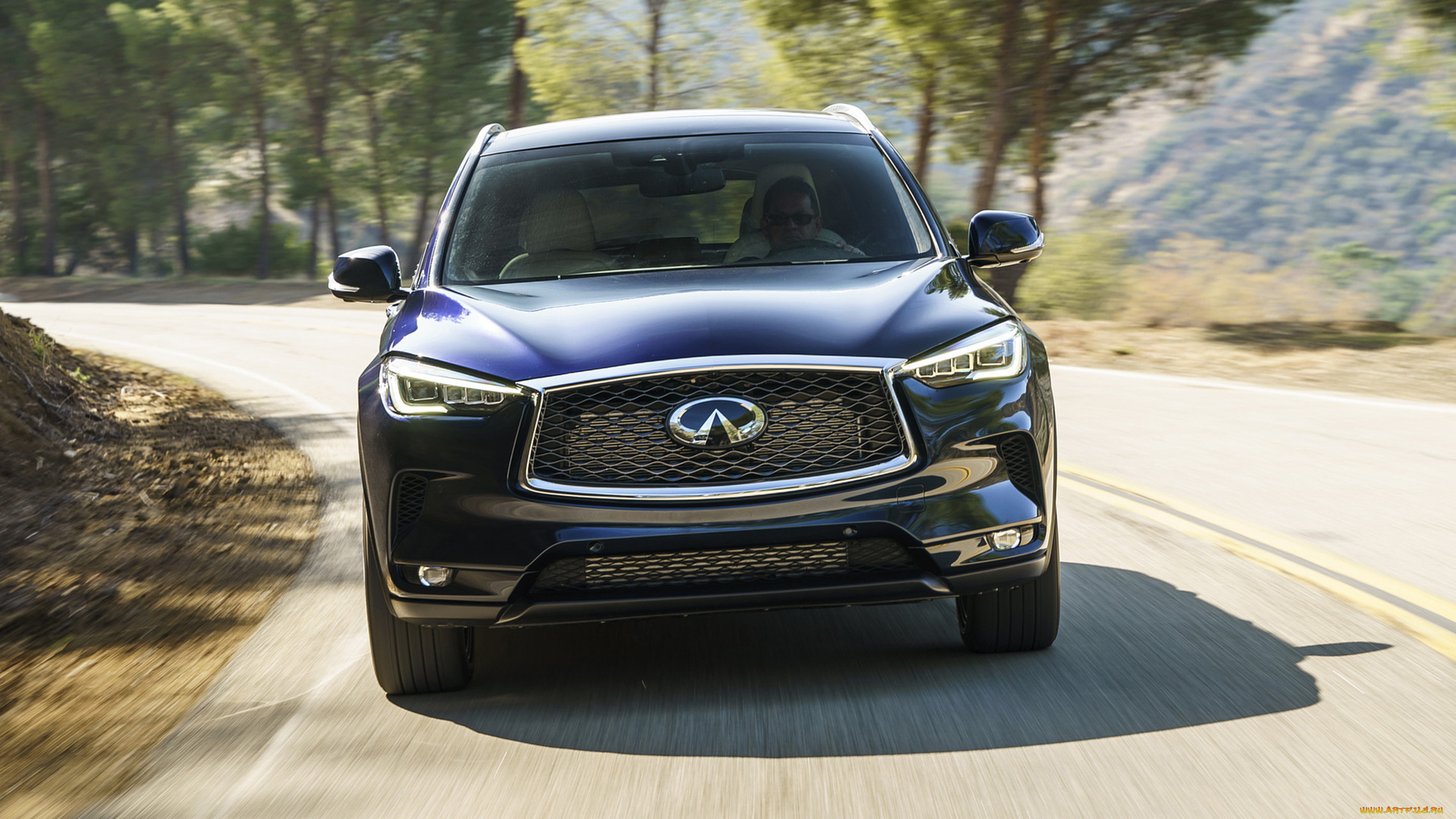 infiniti qx50 2019, , infiniti, qx50, 2019, blue